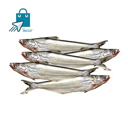 Bacha Fish - বাচা মাছ | কাপ্তাই লেকের বাচা মাছ
