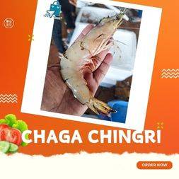 Chaga chingri - চাঁগা চিংড়ি (১০ পিছে কেজি)