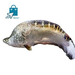 Chitol Fish - চিতল | Kaptai Lake fish