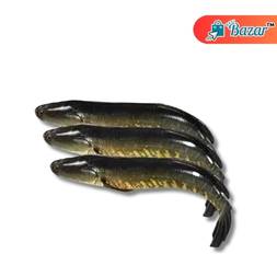 Deshi shoil দেশি শোল (২ পিস ১কেজি)