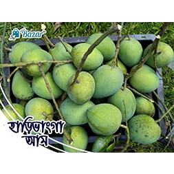 Hari Vangga Aam/হাড়ি ভাংগা আম