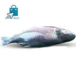 Kali baush fish - কালিবাউশ মাছ Kaptai Leke fish