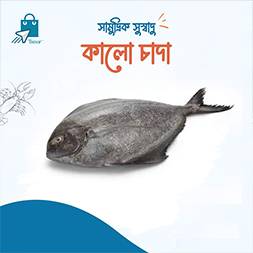 Kalo Rupchada - কালো রুপচাঁদা ( ২ পিছে কেজি)