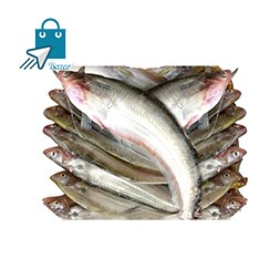 পাবদা মাছ - Kaptai Leke fish