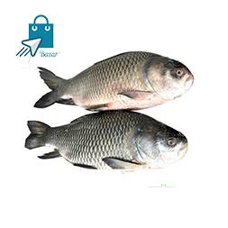 Katla Fish - কাতলা মাছ | Kaptai Lake Fish