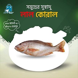 Lal koral - লাল কোরাল(৩-৫-৭ কেজি)