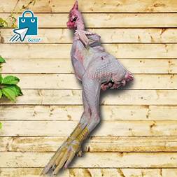 Pahari murog /পাহাড়ি মোরগ 1.5-2 Kg Size (Ready to cook)