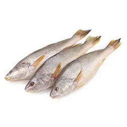 Poya Fish (7 - 8 pieces per KG)