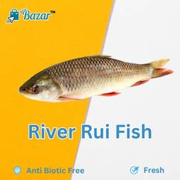 River Rui Fish - নদীর রুই মাছ (3 kg+)
