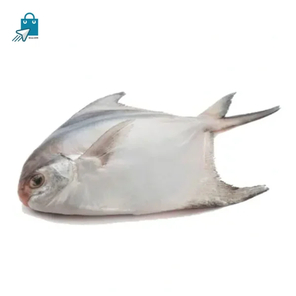 মিডিয়াম রুপচাদা মাছ ১ কেজ
