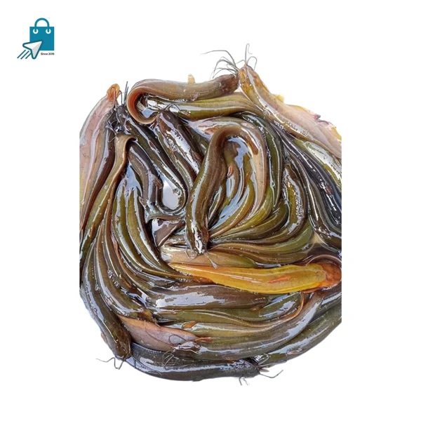 শিং ( রেডি টু কুক ) ১ কেজি