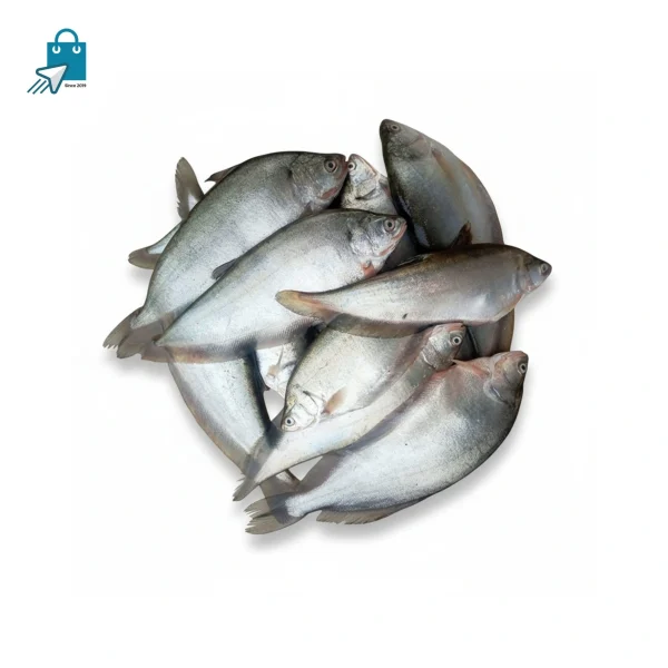 ফলি মাছ ১ কেজি
