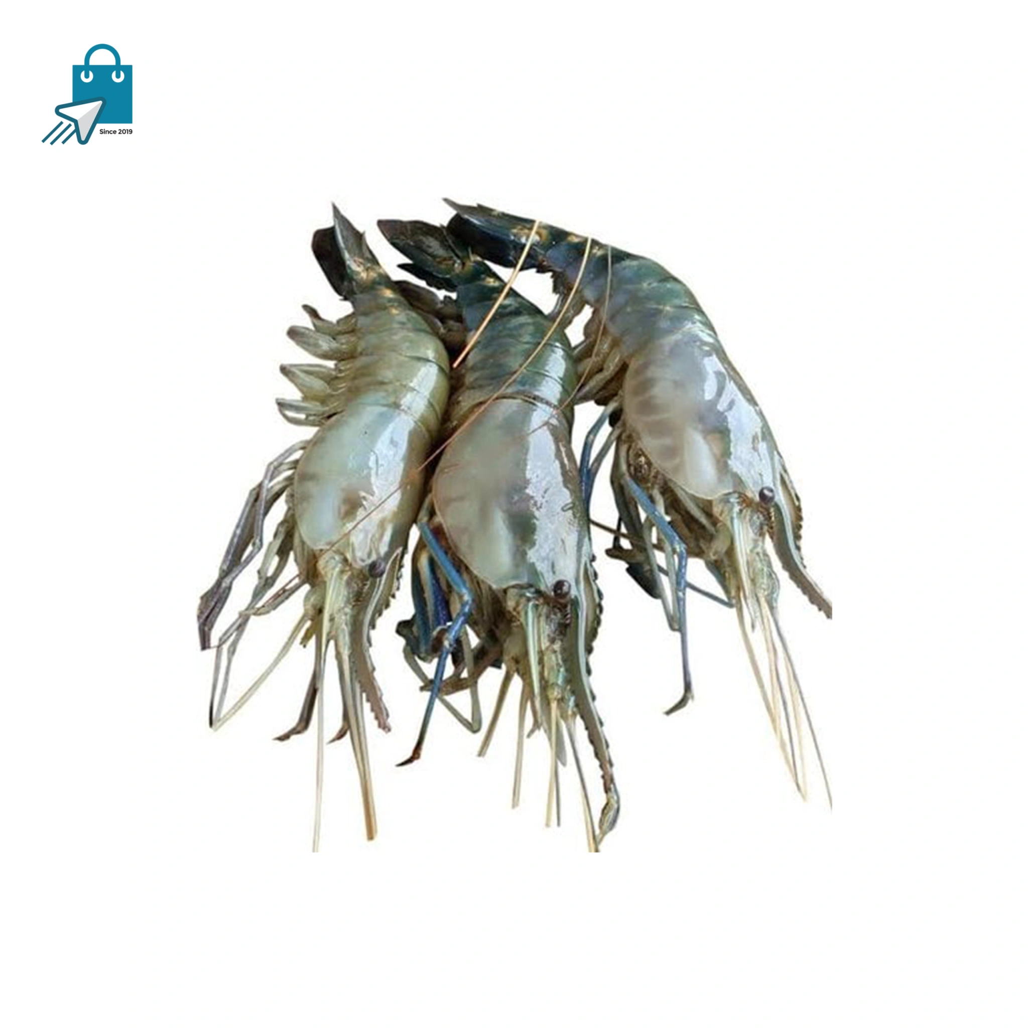 Golda-chingri2.jpg-scaled গলদা চিংড়ি ১ কেজি - Image 1