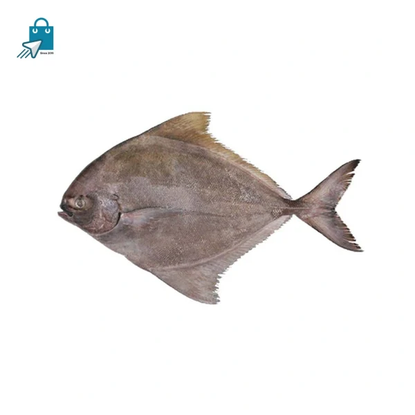 কালো চাদা ১ কেজি