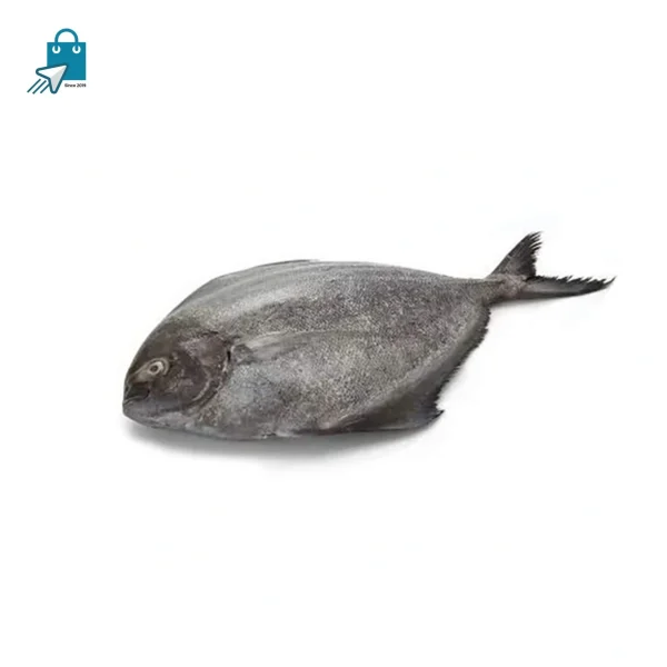 কালো রুপচাঁদা ( ২ পিছে কেজি) (১ কেজি)