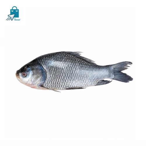নদীর কাতলা মাছ (৪.৫ কেজি সাইজ) | Fresh River Katla Fish | 1 KG