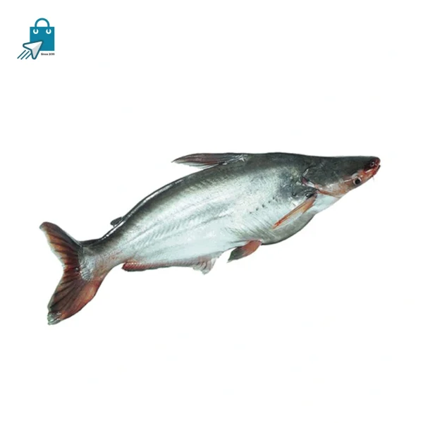 হাওরের পাঙ্গাস ৩ কেজি + (১ কেজি)
