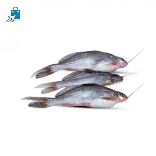 দেশি গুলশা মাছ (বড়) ১ কেজি