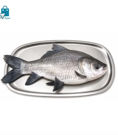 নদীর কাতলা মাছ (৪.৫ কেজি সাইজ) | Fresh River Katla Fish | 1 KG