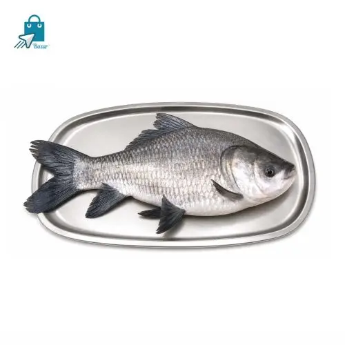 নদীর কাতলা মাছ (৪.৫ কেজি সাইজ) | Fresh River Katla Fish | 1 KG