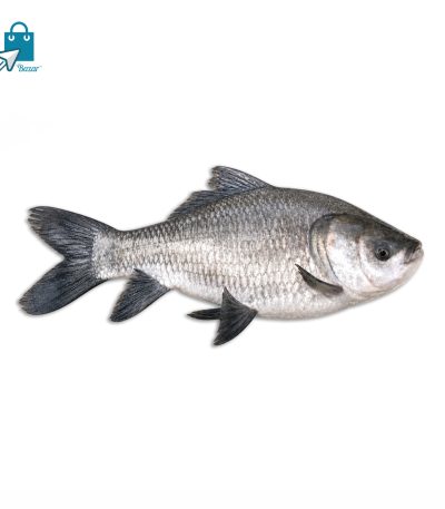নদীর কাতলা মাছ (৪.৫ কেজি সাইজ) | Fresh River Katla Fish | 1 KG