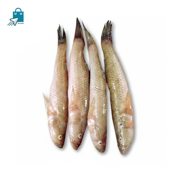 বেইলা বড় (১ কেজি)