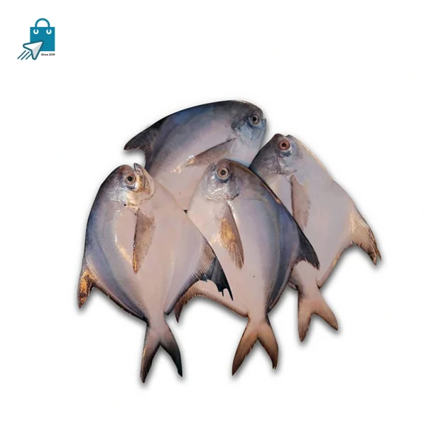 রুপচাদা ছোট ১ কেজি