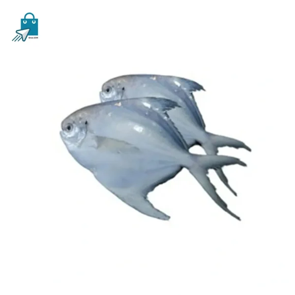 রূপচাঁদা মাছ (মাঝারি আকারের ৫-৬ পিসি) (১ কেজি)