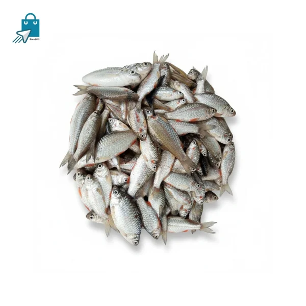 সরপুটি মাছ ১ কেজি