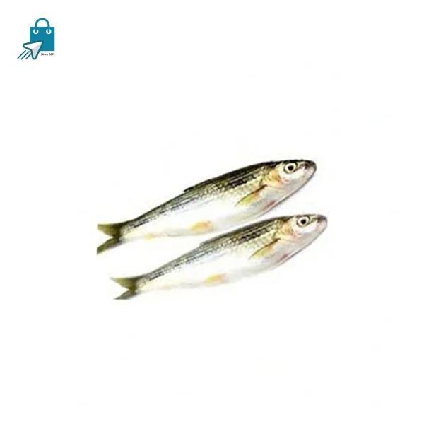 টাটকিনি মাছ ৫০০ গ্রাম