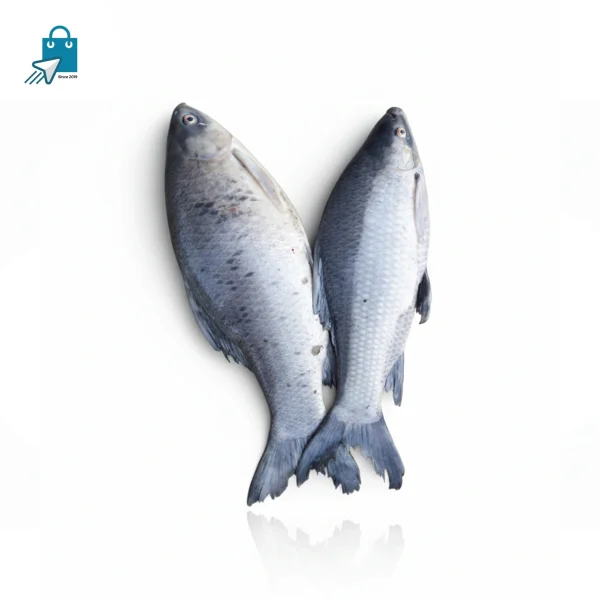কালিবাউশ মাছ (১.৫ কেজি সাইজ) ১ কেজি