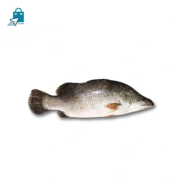 কই কোরাল ১ কেজি