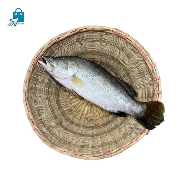 কোরাল মাছ ৩ কেজি প্লাস (১ কেজি)