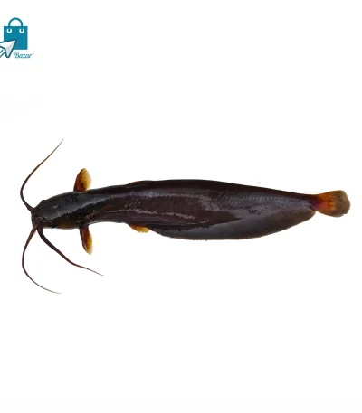 শিং মাছ (রেডি টু কুক) ১ কেজি | Fresh Ready to Cook Shing Fish