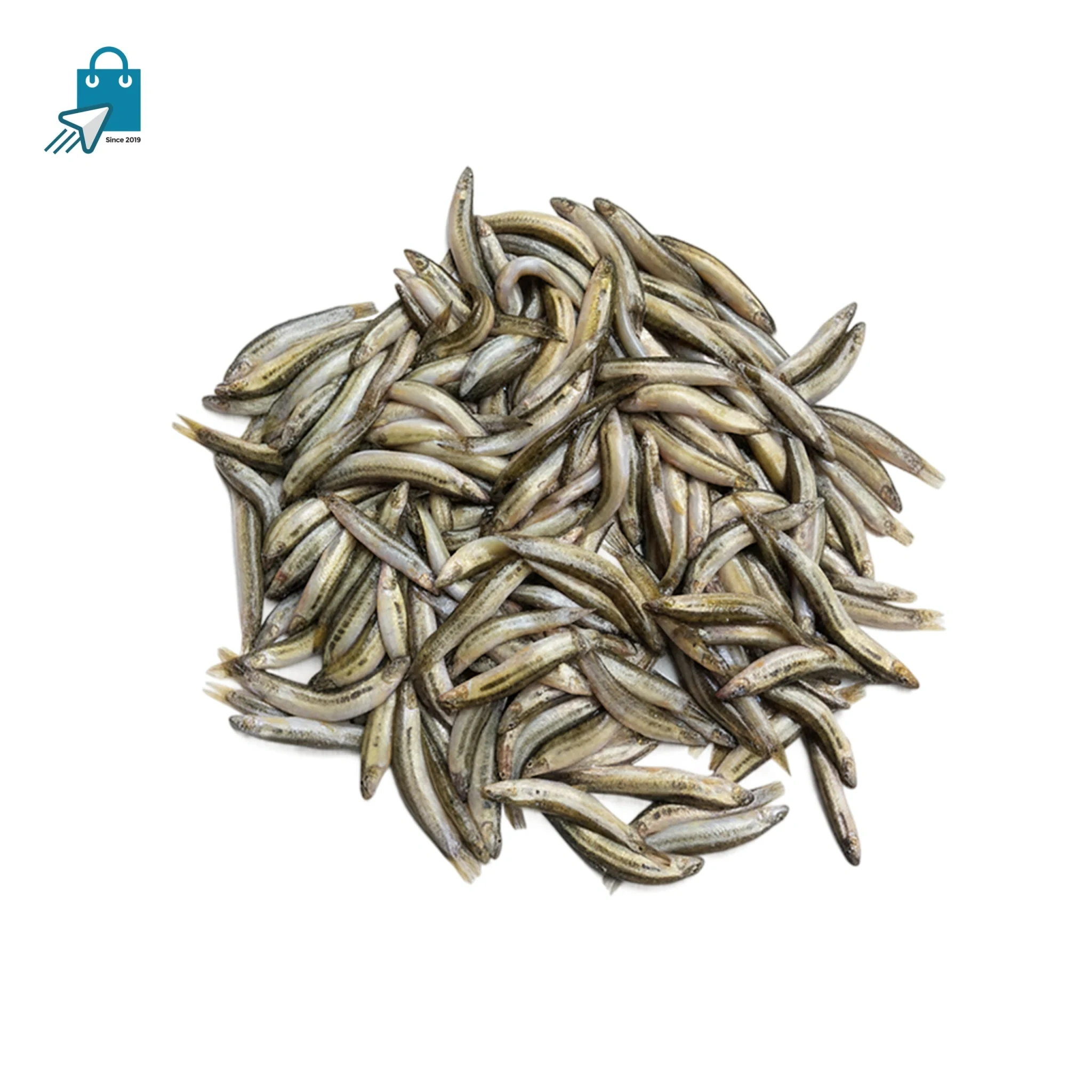 gutum-mas-scaled (1) গুতুম মাছ ১ কেজি - Image 1