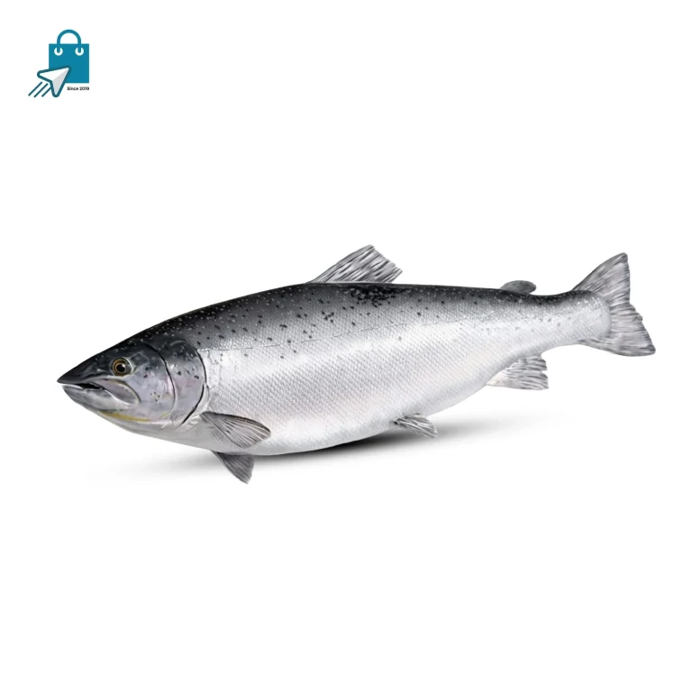Premium Norwegian Salmon Fish | নরওয়ে সেলমন মাছ | 1Kg