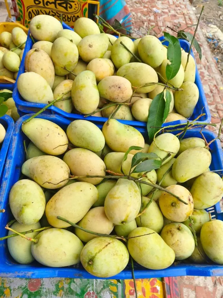 ফ্রুটব্যাগিং আম্রপালি আম | Fruit Bagging Amrapali Mango Bangladesh | 1 Kg