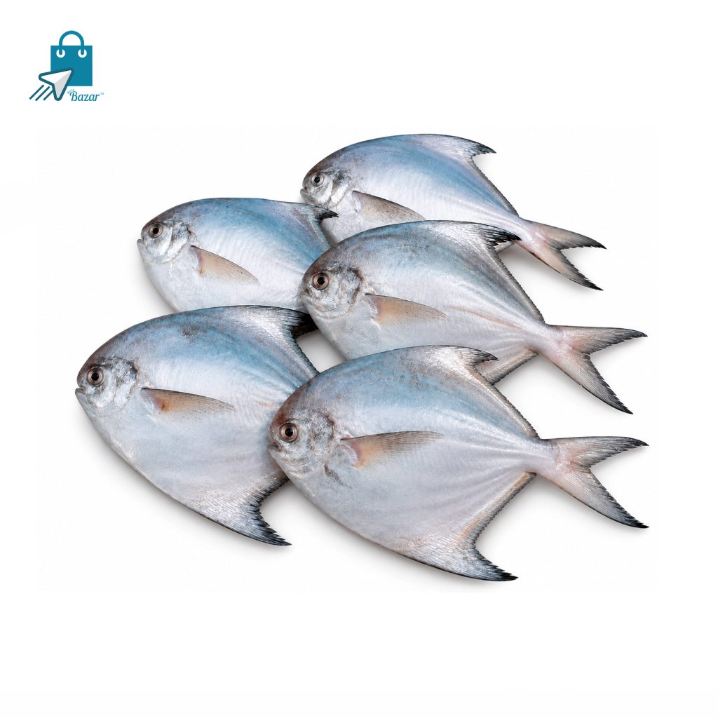 Fresh Rupchanda (Pomfret) Fish | 1Kg (6-7 Pcs) | রূপচাঁন্দা মাছ | ১ কেজি (৬-৭ পিছ)
